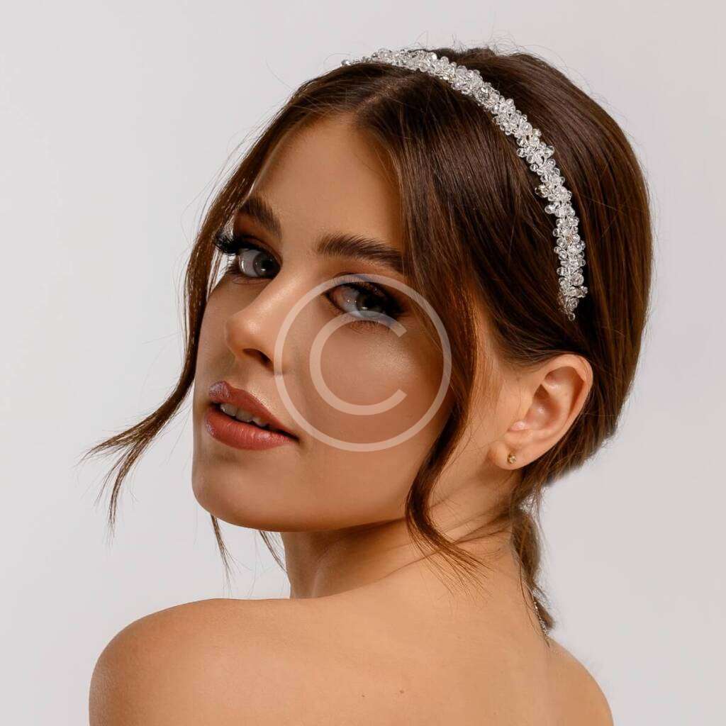 Wedding Planner Eventicity